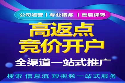 SEM代运营机构成功案例：优化策略与效果分析