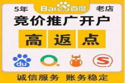 某某SEM服务公司成功案例：从数据出发的营销策略
